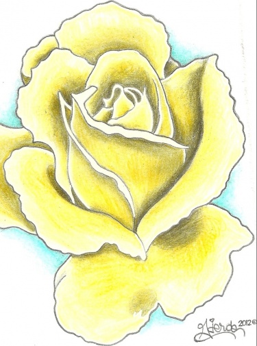 375x505 Series Of Rose's Meylah