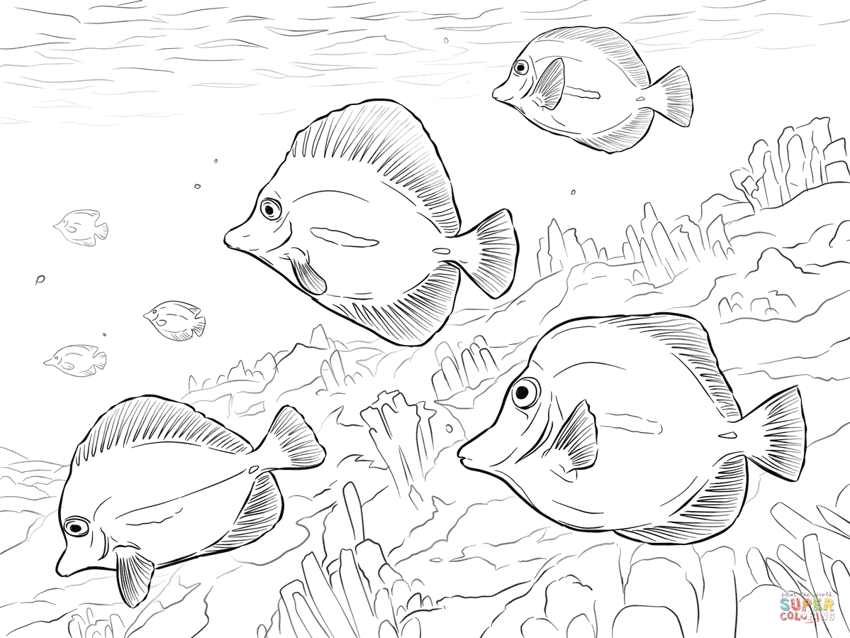 1199x899 Yellow Tangs Coloring Page Free Printable Coloring Pages