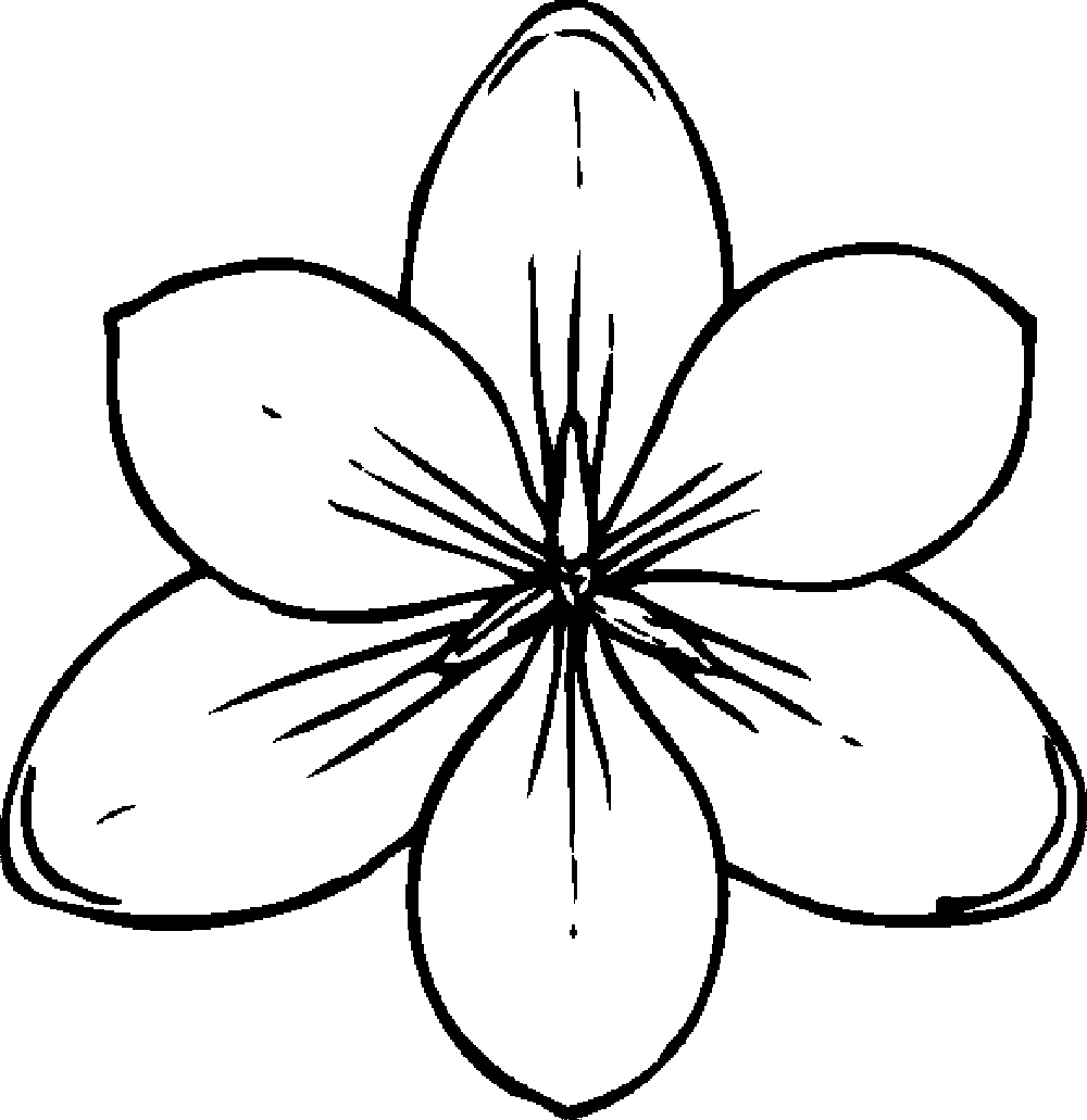 1000x1031 Flowers Coloring Pages