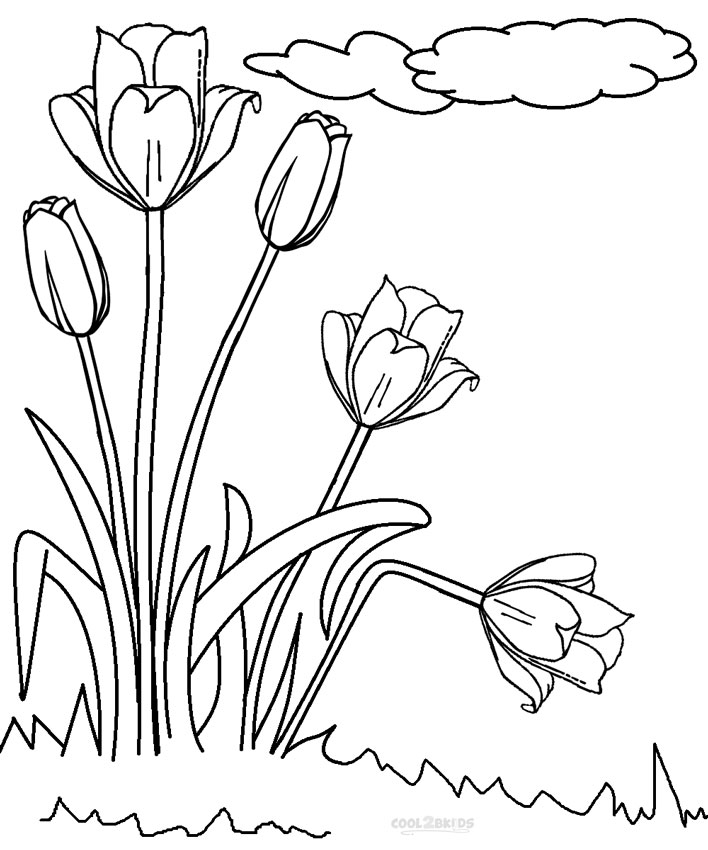 708x850 Printable Tulip Coloring Pages For Kids Cool2bkids