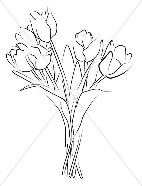 467x612 Tulip Bouquet Sketch Church Bouquet Clipart