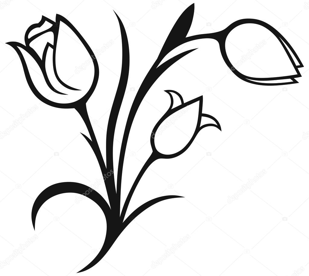 1023x916 Tulip Stock Vectors, Royalty Free Tulip Illustrations
