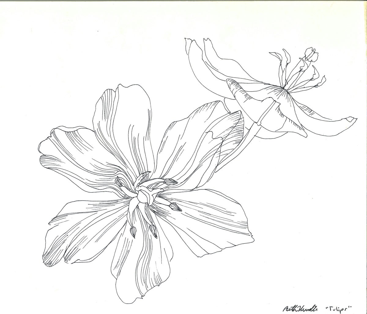 1200x1029 Drawings Beth Neville