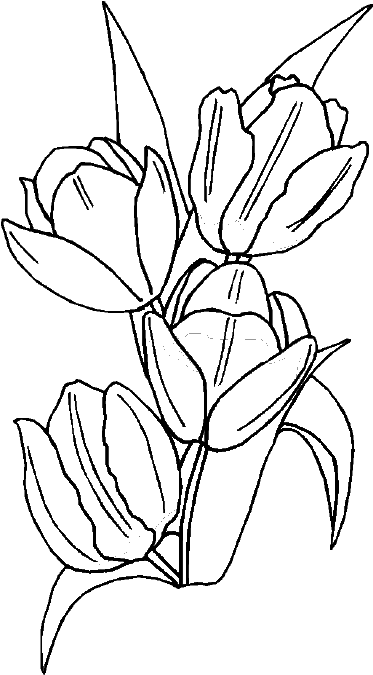 373x675 Flower Coloring Pages