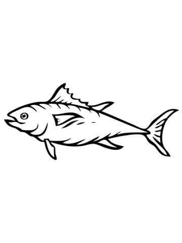 360x480 Tuna Fish Coloring Page Free Printable Coloring Pages