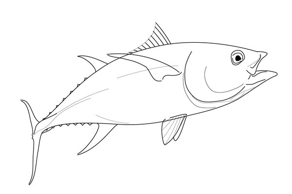 600x400 Drawing Of A Yellowfin Tuna On Behance Nautical Themes For Batik
