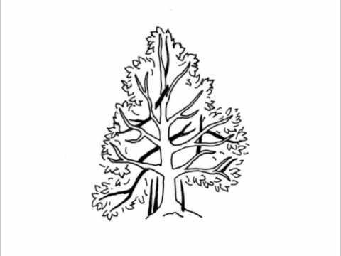 Yew Tree Drawing at GetDrawings | Free download