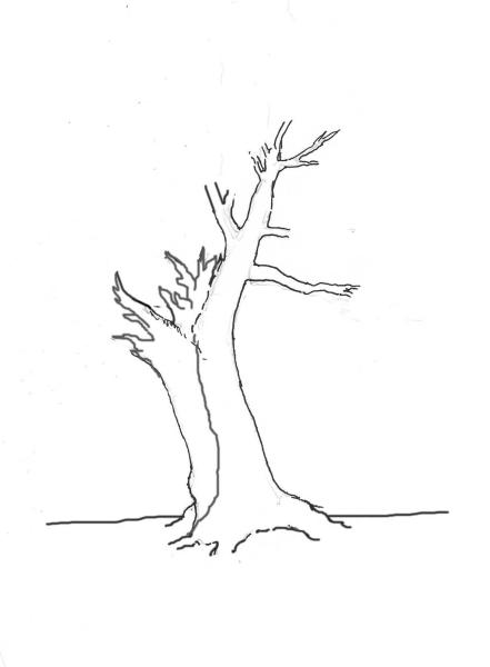 441x600 Mom's Design Views. Part 2 The Bonsai Blog Of Hans Van Meer.