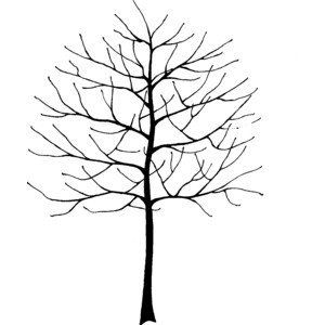 300x300 28 Best Trees Images On Art Tutorials, Drawing Ideas