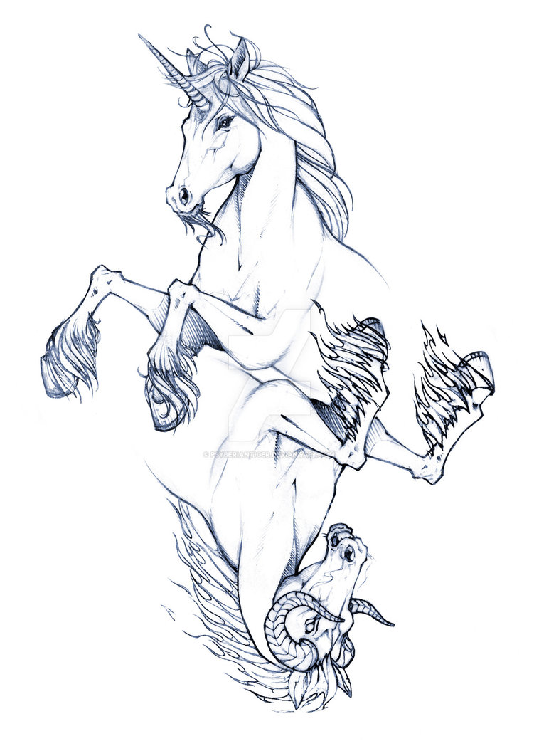 758x1055 Yin Yang Horse I By Psyberiantiger