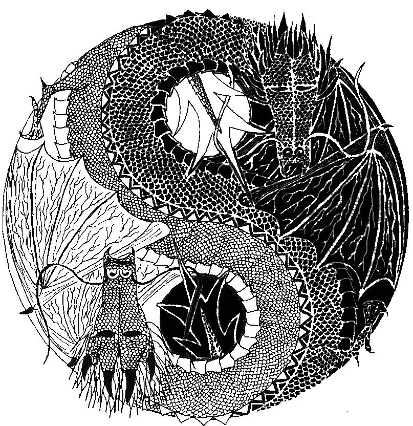 807x832 Yin Yang By Sakikutorakak