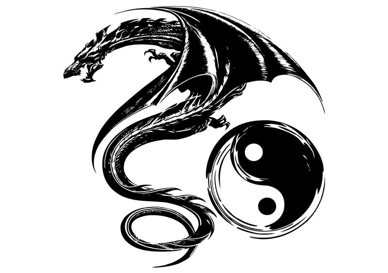 800x563 Yin And Yang Big Black Flying Dragon On White Background Design