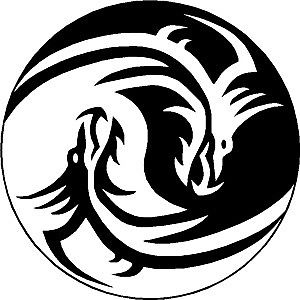300x300 2x Yin Yang Dragon Symbols