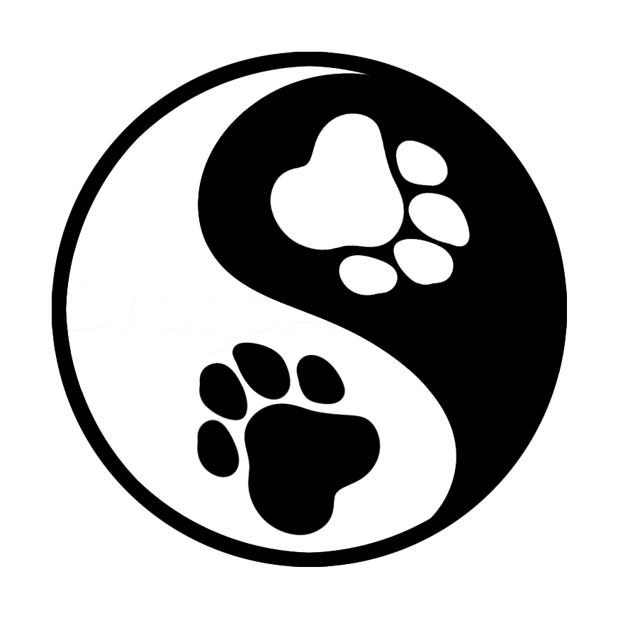 872x872 Moving Yin And Yang By Emmber96