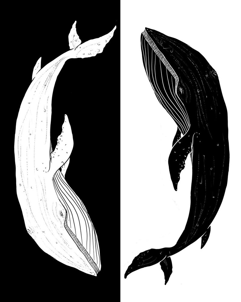 800x1000 Blue Whale Ying Yang By Senpaisama Chan