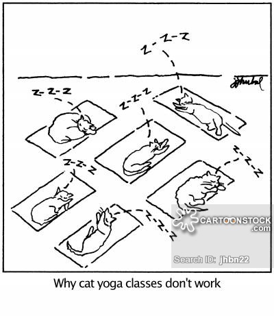 400x461 Cat Yoga Cartoons And Comics