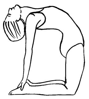 289x320 Top Five Yoga Poses Every Woman Should Master Yoga Teacher