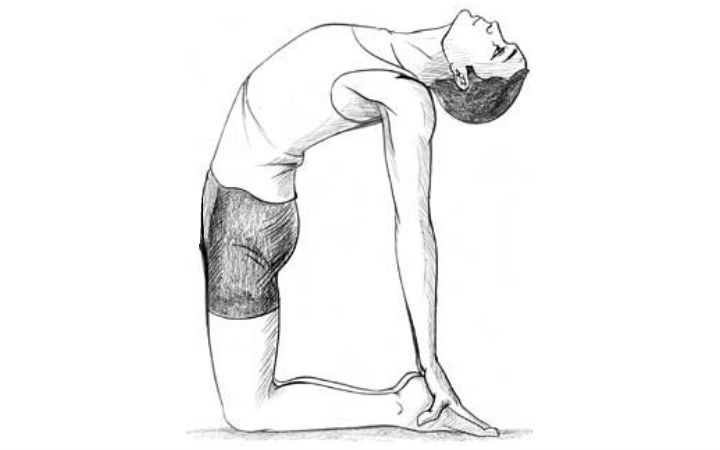 720x450 Channel Your Inner Animal With These 16 Yoga Poses