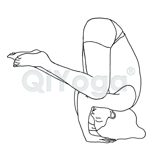 500x500 Little Bird Pose