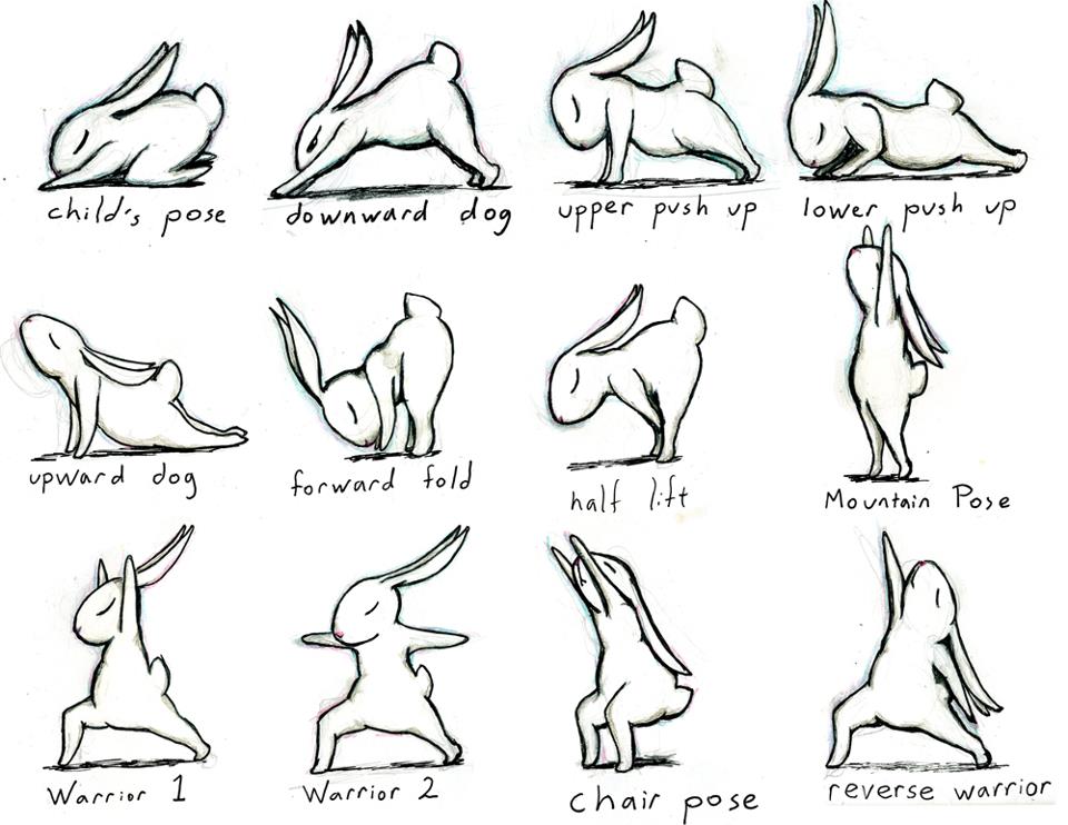 960x742 Easter Bunny Yoga