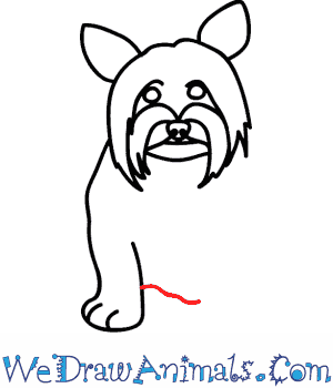 300x350 How To Draw A Yorkie Dog