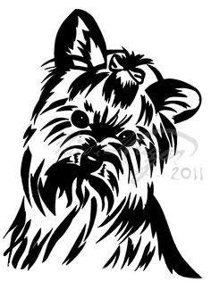 236x315 Blackwing Sketchbook Drawing Of The Day Yorkie