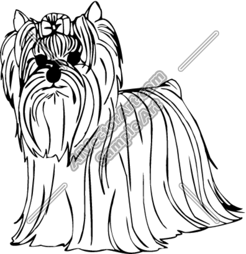 485x500 Yorkie Clipart And Vectorart Animals