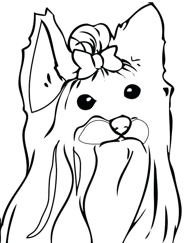 615x796 Yorkie Coloring Pages Cortefocal.site