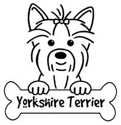 236x245 Yorkshire Terrier Line Drawing
