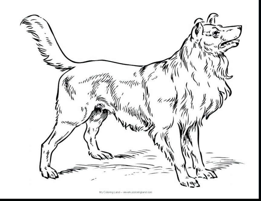 863x667 Sketch Funny Dog Terrier Breed Sitting Hand Drawing Vector Stock