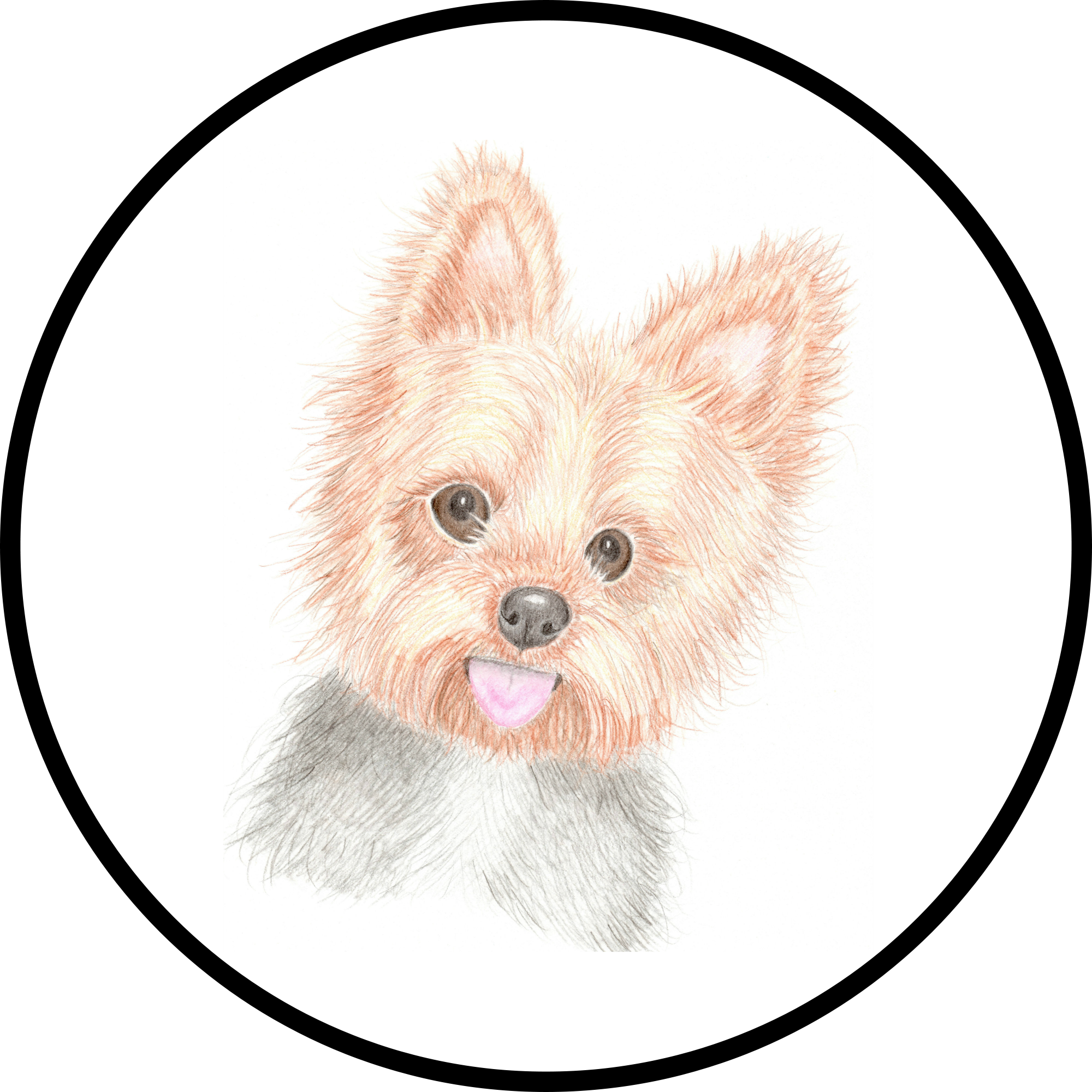 2000x2000 Artwork For Animals