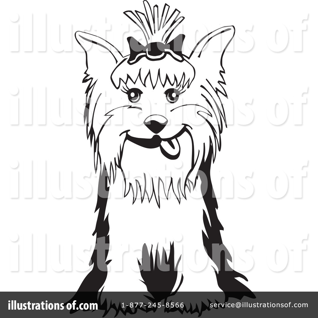 1024x1024 Yorkie Clipart
