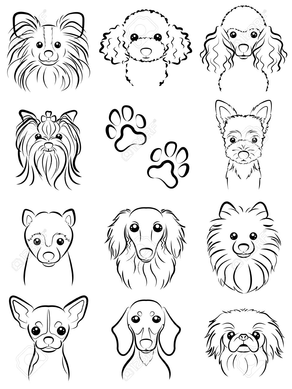 Yorkie Line Drawing at GetDrawings | Free download