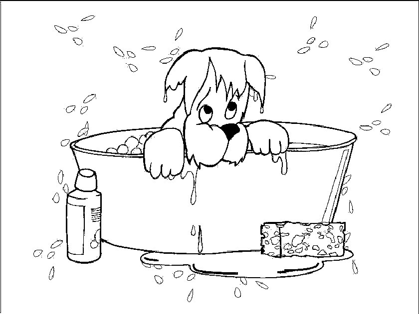 840x631 Golden Retriever Puppy Coloring Pages Printable 448897