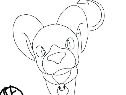 440x330 Yorkie Coloring Page Coloring Page Coloring Pages Terrier