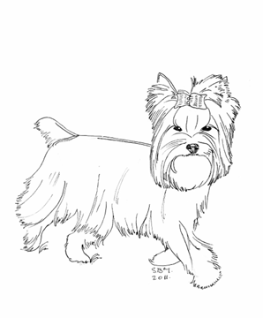 298x360 Yorkie Puppy 2.gif Artdrawing Ideas Yorkshire