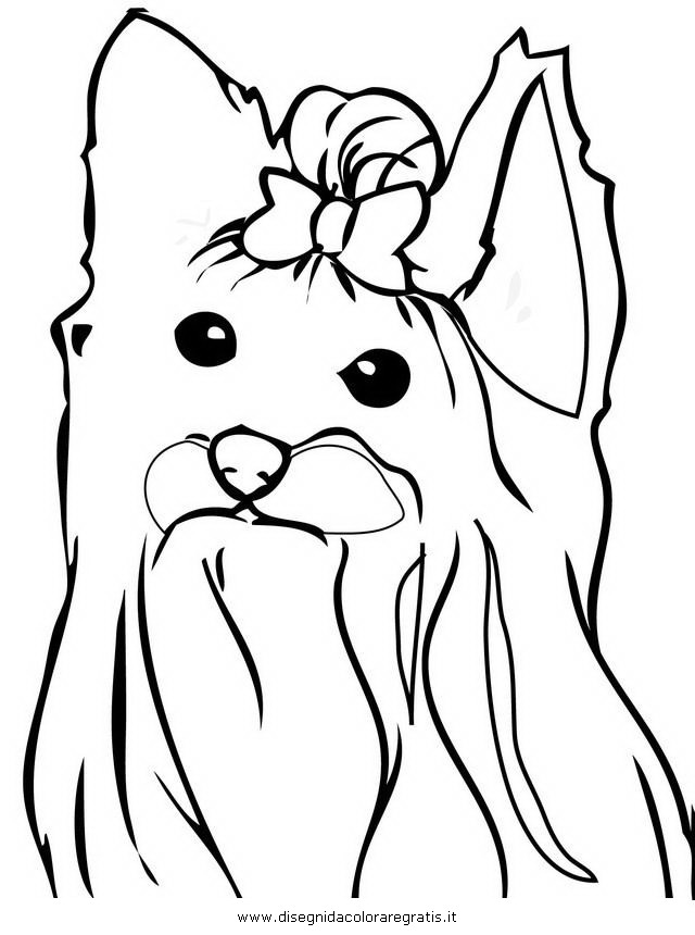 640x860 Yorkie Terrier Coloring Pages Page