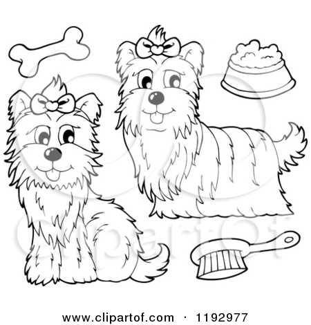 450x470 Black Yorkie Clipart