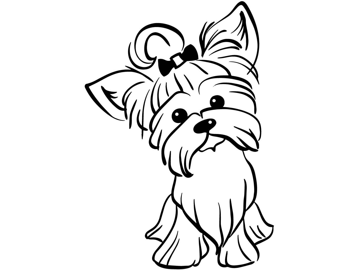 1447x1088 Yorkshire Terrier
