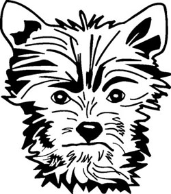 250x283 Yorkshire Terrier Decal