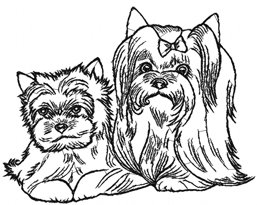 1015x811 Yorkshire Terrier Embroidery Designs