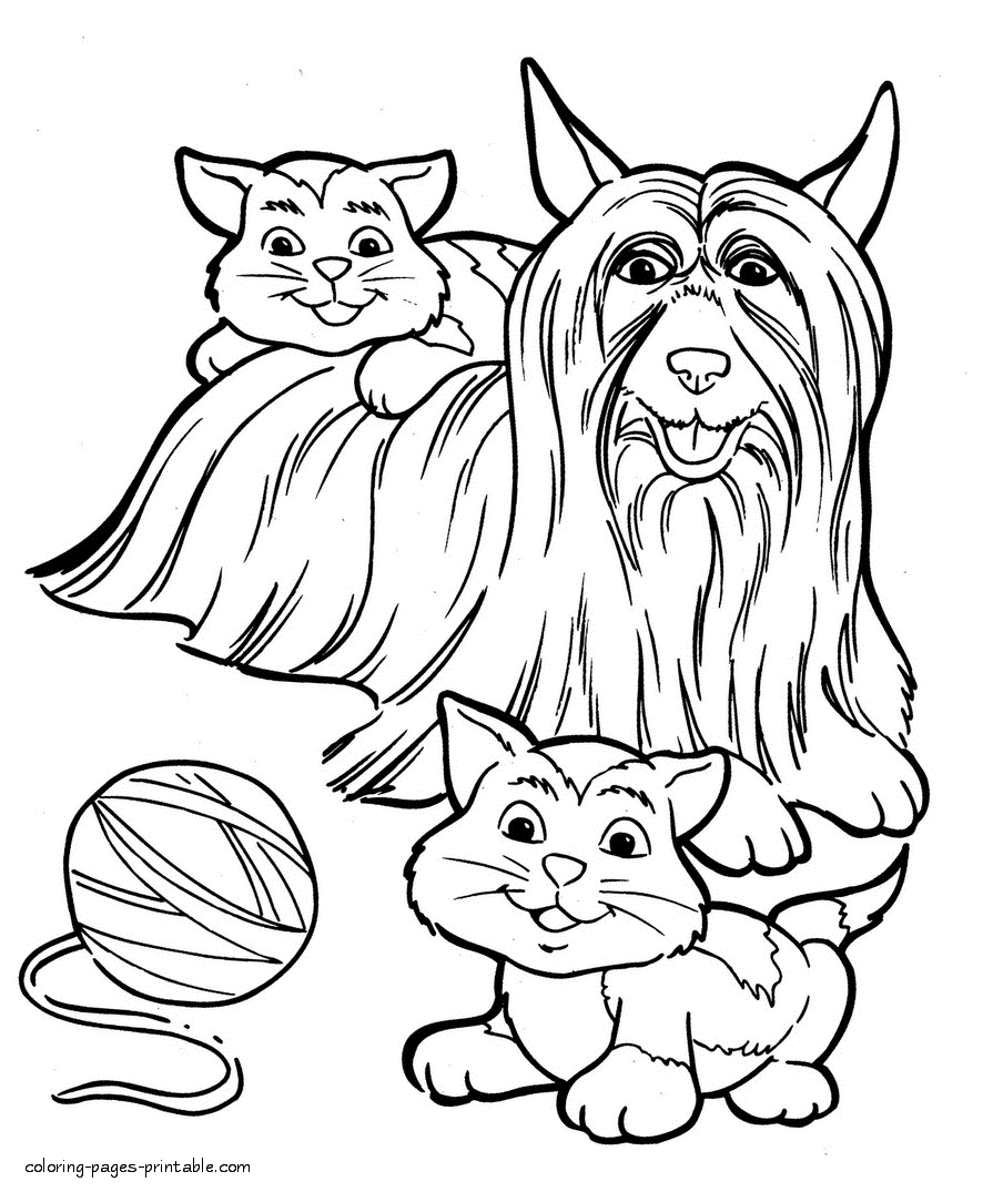 895x1075 Yorkshire Terrier And Kittens. Coloring Page