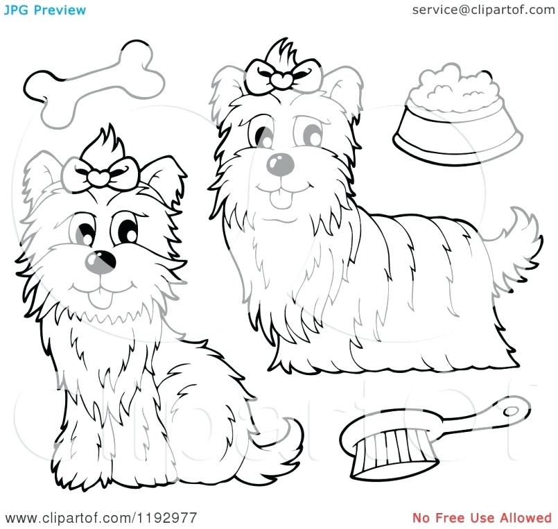 805x763 Yorkshire Terrier Coloring Pages Brexitbook.club