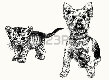 450x333 Hand Drawn Kitten And Yorkshire Terrier. Royalty Free Cliparts