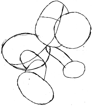 300x351 How To Draw Yoshi On Motorcycle From Wii Mario Kart