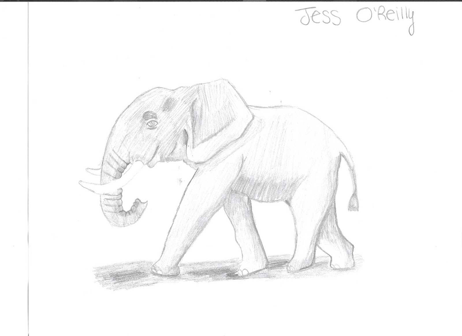 1600x1163 My Genius Hour Project