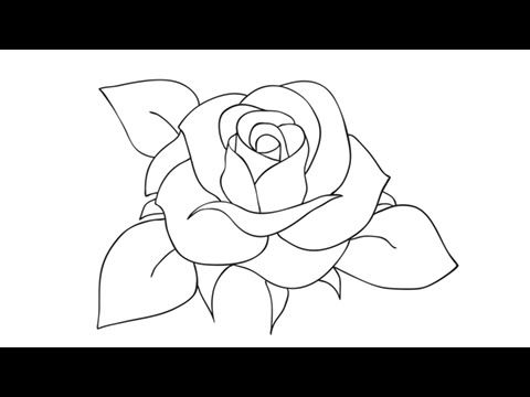480x360 How To Draw A Rose