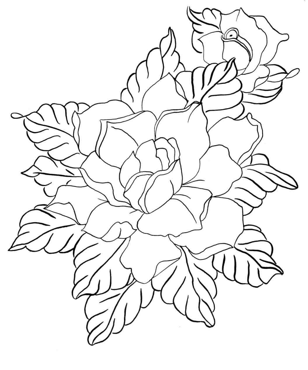 1055x1264 The Images Collection Of Download Flower Drawing How To Draw