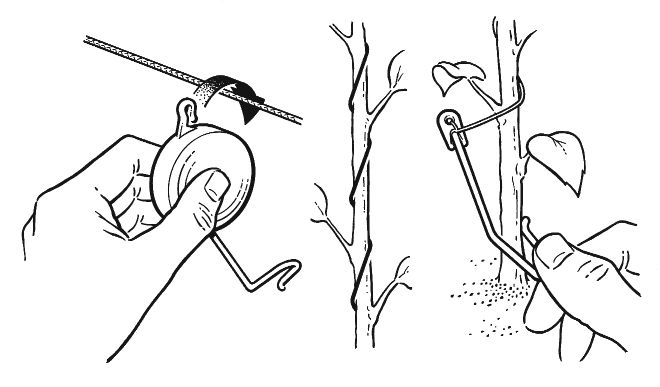 660x387 Plant!t Yo Yo Pack Of 8 Green Light Hydroponics Gloucestershire