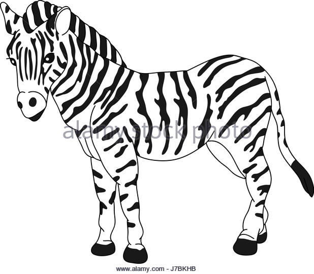 618x540 Zebra Cartoon Stock Photos Amp Zebra Cartoon Stock Images